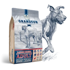Grandeur Large Adult