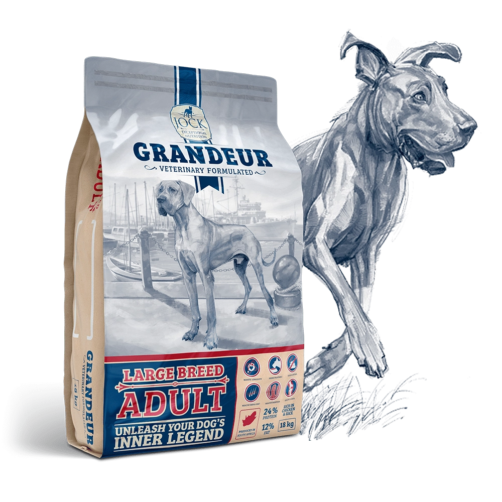 Grandeur Large Adult