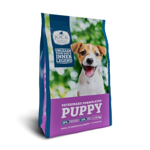 Puppy Small – Medium