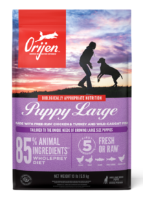 Puppy Large