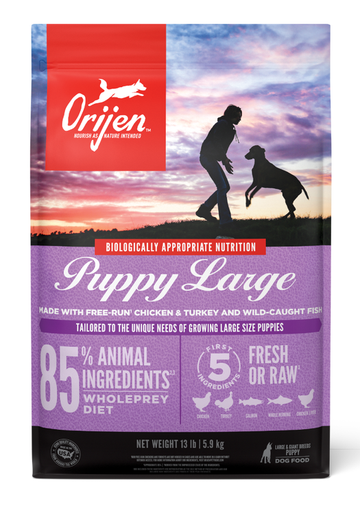 Puppy Large