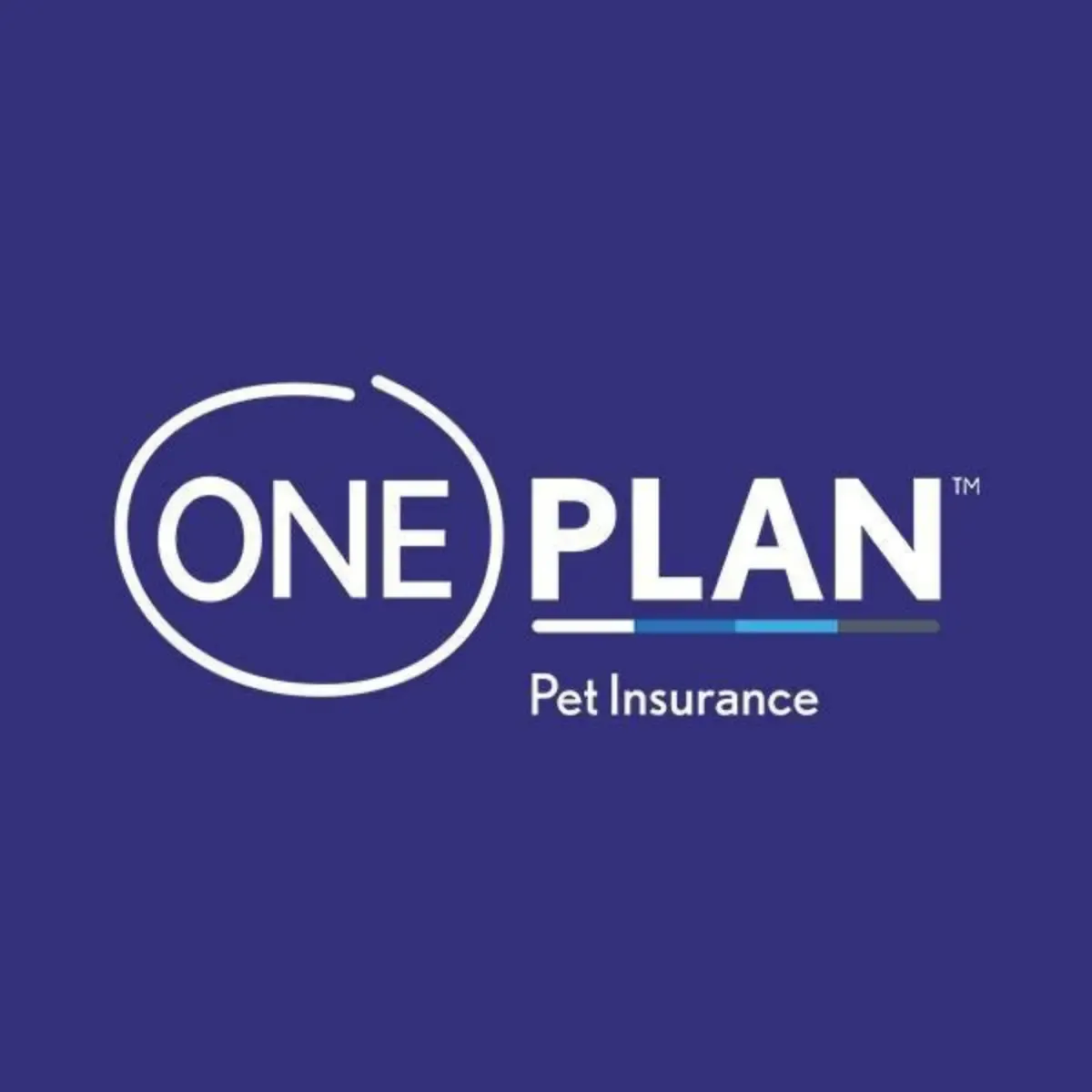 Oneplan Primary Plan