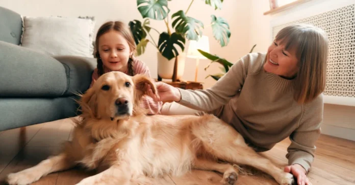 woman and child with dog. Household hazards