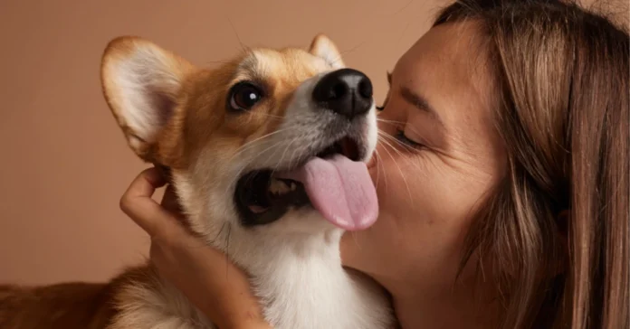 Woman kissing dog with tongue out. Why Is My Dog’s Nose Dry?